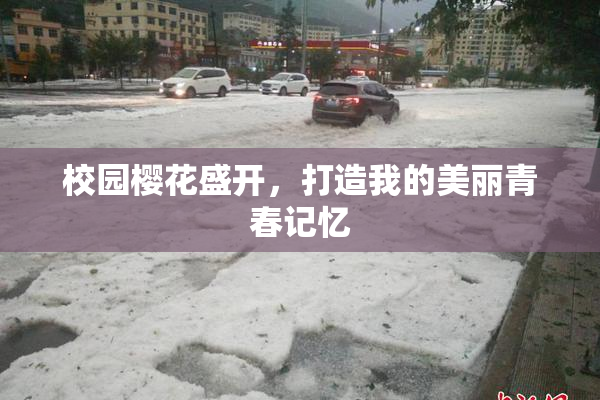 校园樱花盛开，打造我的美丽青春记忆