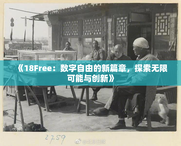 《18Free：数字自由的新篇章，探索无限可能与创新》
