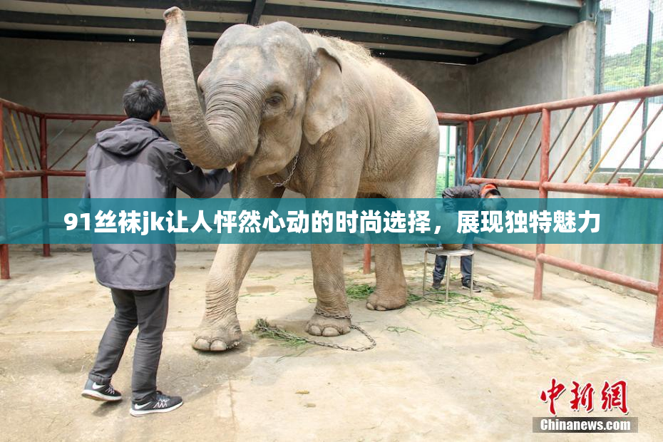 91丝袜jk让人怦然心动的时尚选择，展现独特魅力