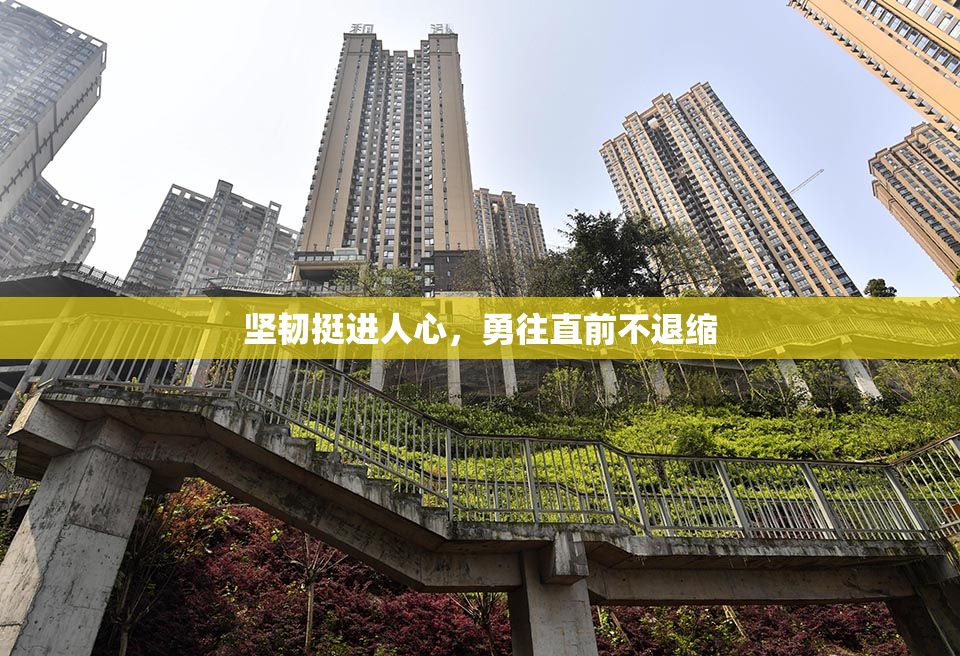 坚韧挺进人心，勇往直前不退缩