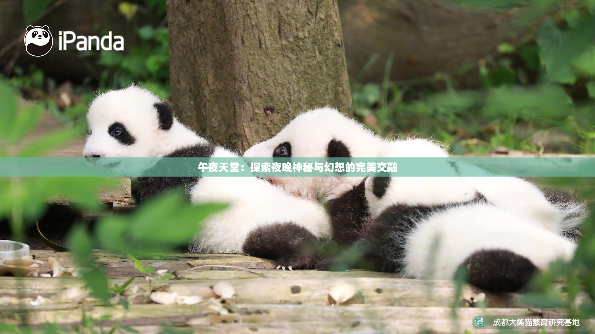 午夜天堂：探索夜晚神秘与幻想的完美交融
