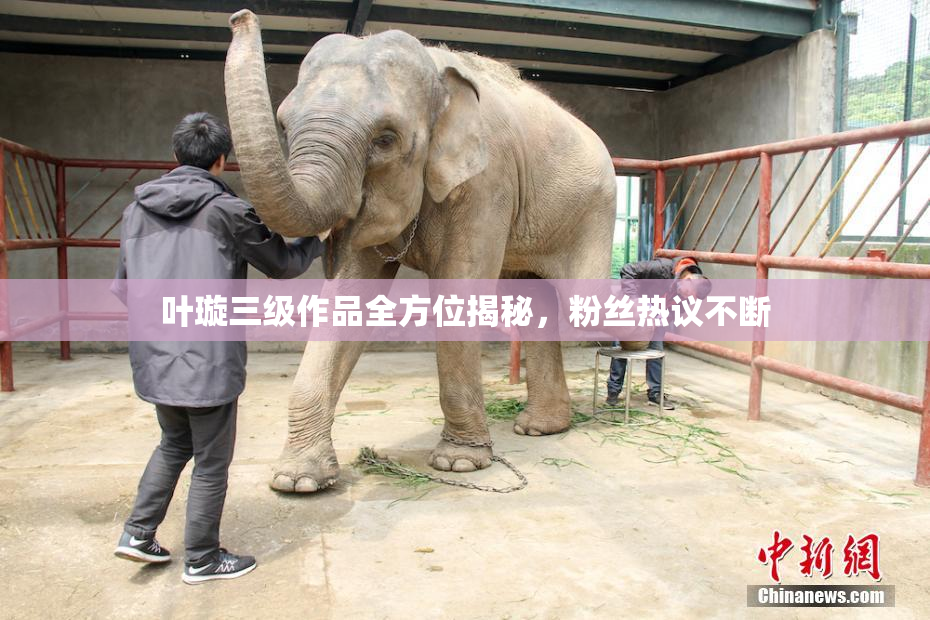 叶璇三级作品全方位揭秘，粉丝热议不断