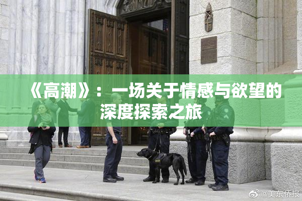 《高潮》：一场关于情感与欲望的深度探索之旅