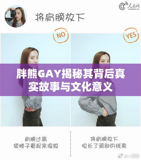 胖熊GAY揭秘其背后真实故事与文化意义