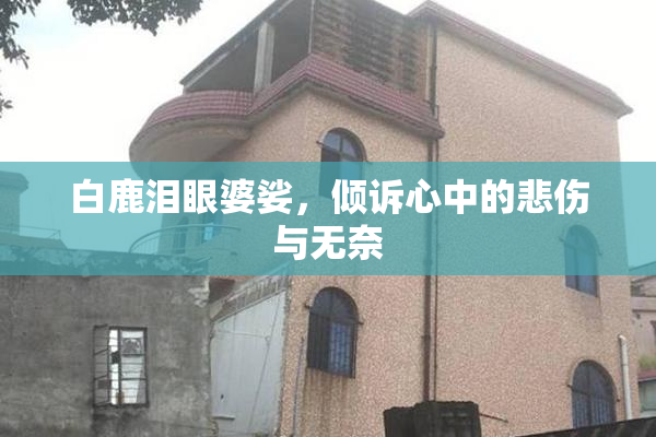 白鹿泪眼婆娑，倾诉心中的悲伤与无奈