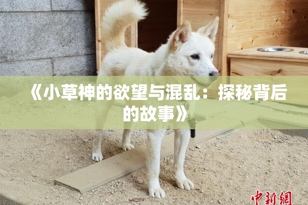 《小草神的欲望与混乱：探秘背后的故事》