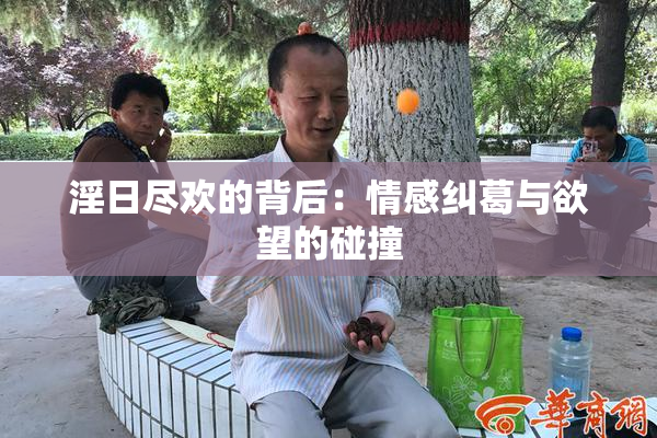 淫日尽欢的背后：情感纠葛与欲望的碰撞