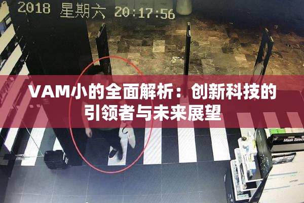 VAM小的全面解析：创新科技的引领者与未来展望