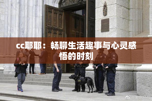cc耶耶：畅聊生活趣事与心灵感悟的时刻