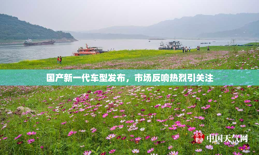 国产新一代车型发布，市场反响热烈引关注