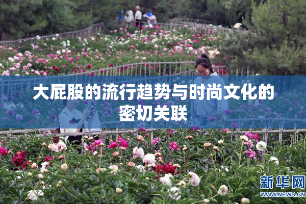 大屁股的流行趋势与时尚文化的密切关联