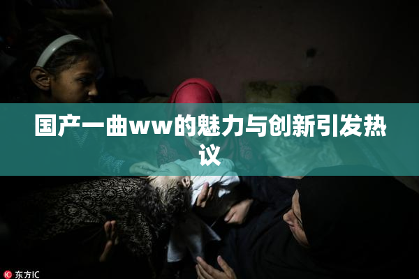 国产一曲ww的魅力与创新引发热议