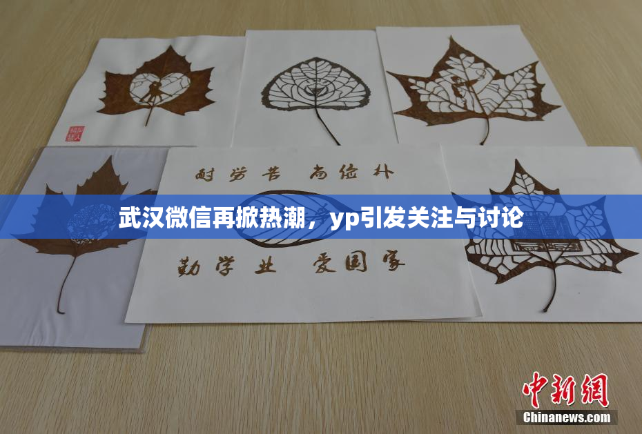 武汉微信再掀热潮，yp引发关注与讨论