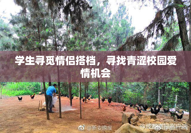 学生寻觅情侣搭档，寻找青涩校园爱情机会