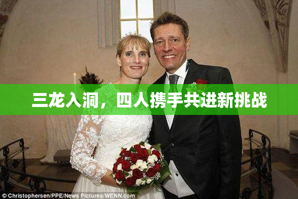 三龙入洞，四人携手共进新挑战