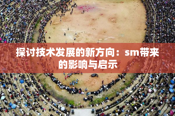 探讨技术发展的新方向：sm带来的影响与启示