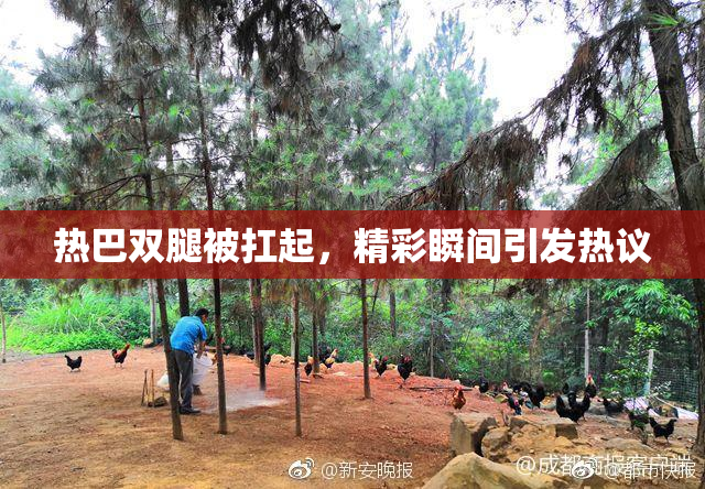 热巴双腿被扛起，精彩瞬间引发热议