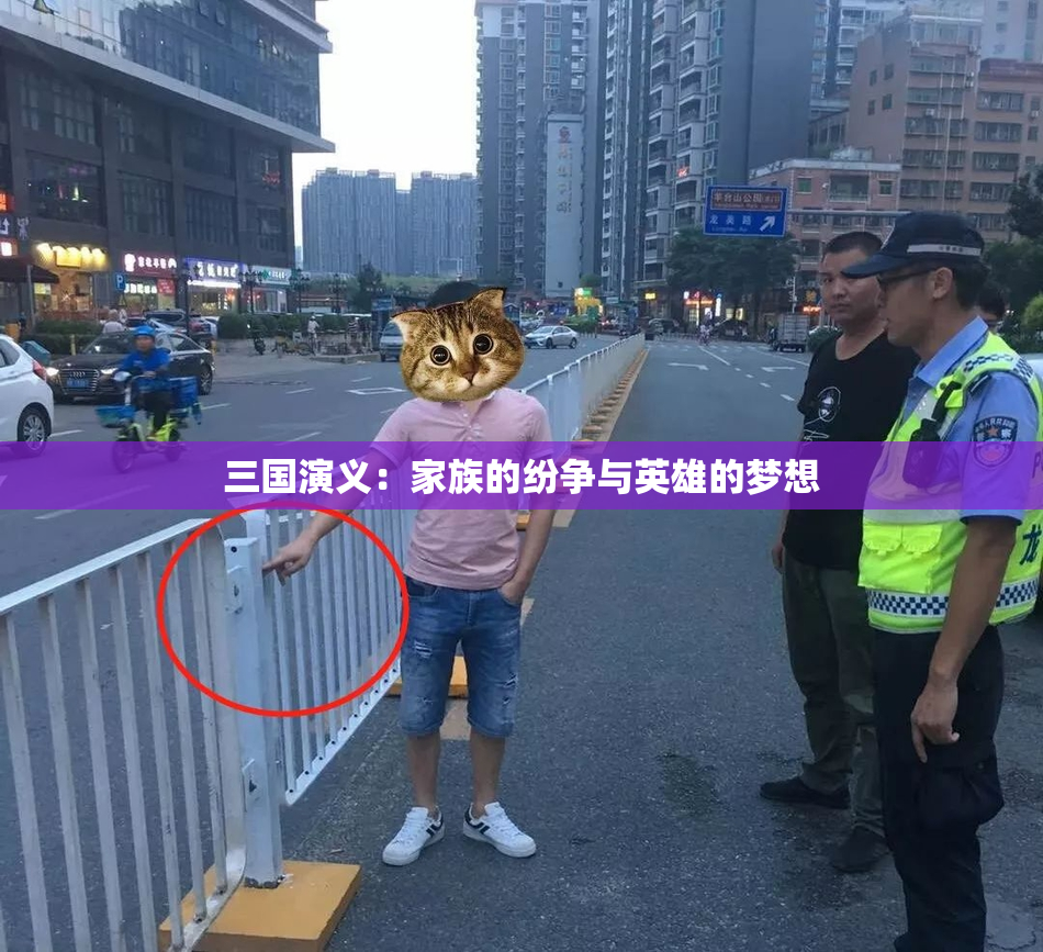 三国演义：家族的纷争与英雄的梦想
