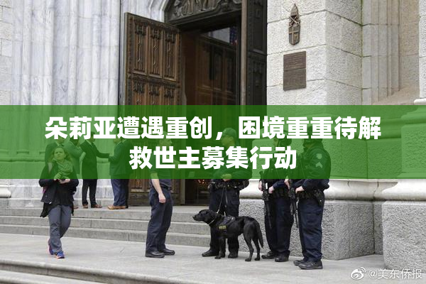 朵莉亚遭遇重创，困境重重待解救世主募集行动