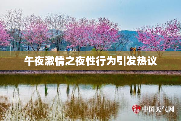午夜激情之夜性行为引发热议