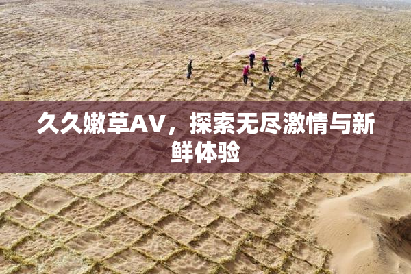 久久嫩草AV，探索无尽激情与新鲜体验