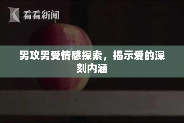男攻男受情感探索，揭示爱的深刻内涵