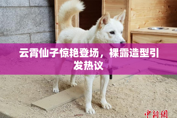 云霄仙子惊艳登场，裸露造型引发热议