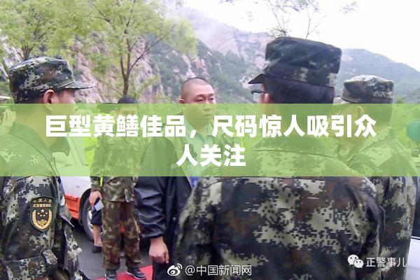 巨型黄鳝佳品，尺码惊人吸引众人关注