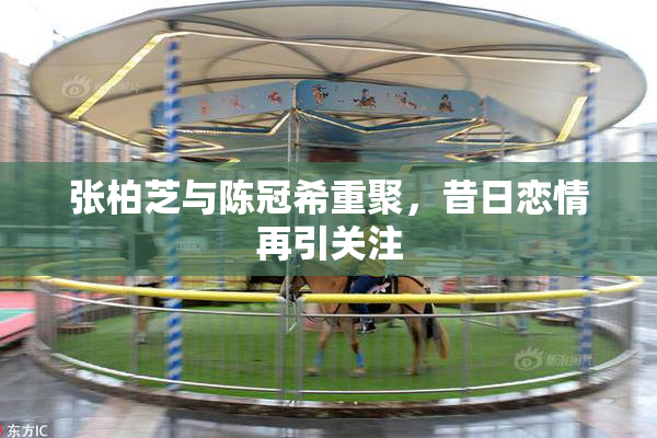 张柏芝与陈冠希重聚，昔日恋情再引关注