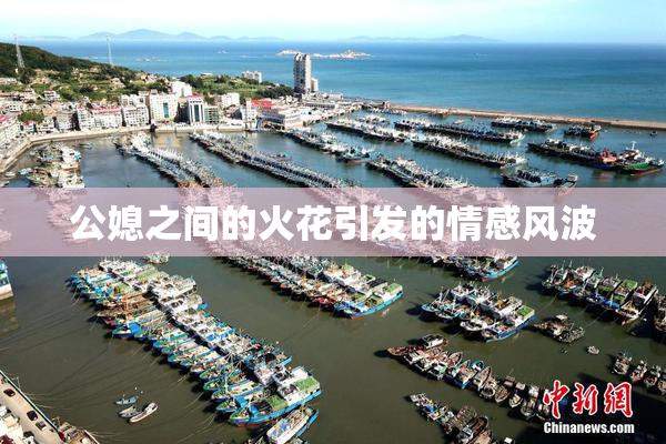 公媳之间的火花引发的情感风波