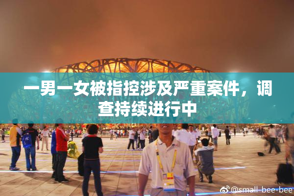 一男一女被指控涉及严重案件，调查持续进行中