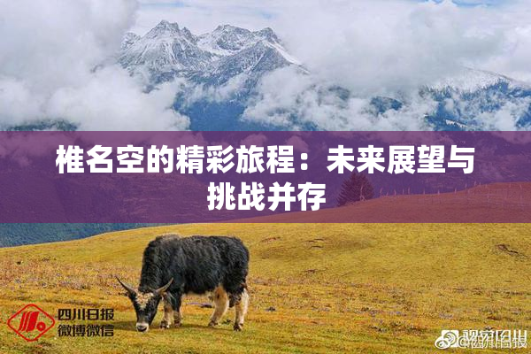 椎名空的精彩旅程：未来展望与挑战并存