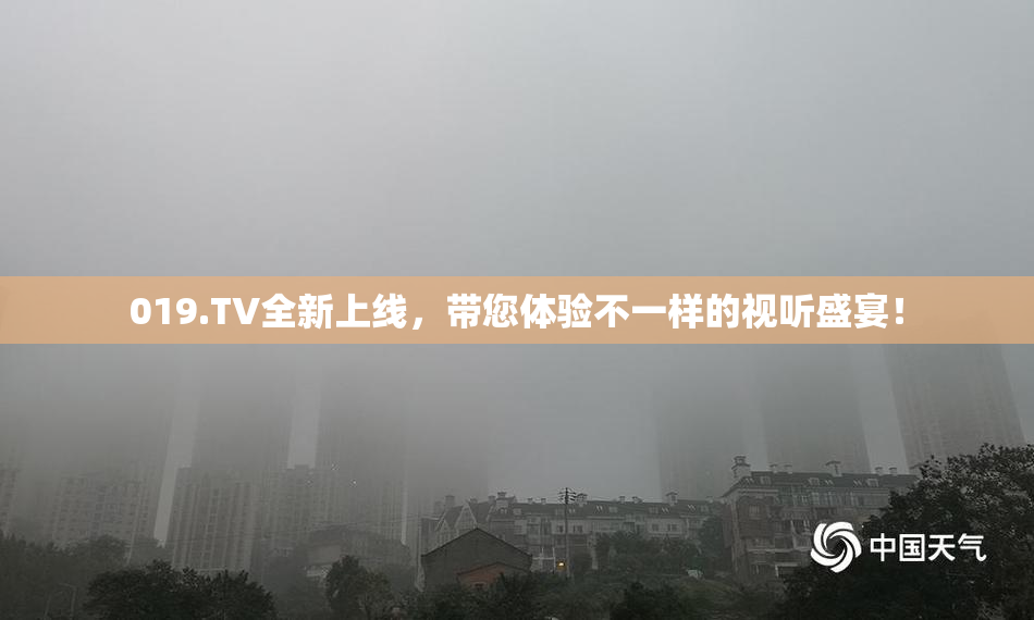 019.TV全新上线，带您体验不一样的视听盛宴！