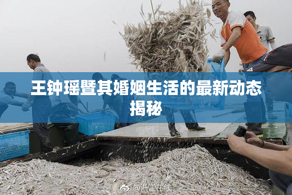 王钟瑶暨其婚姻生活的最新动态揭秘