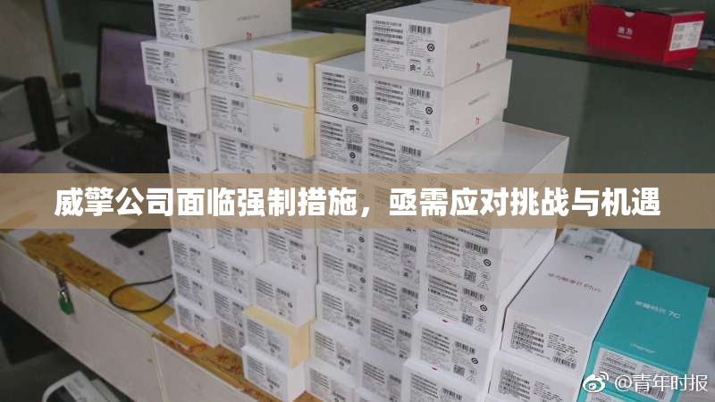 威擎公司面临强制措施，亟需应对挑战与机遇