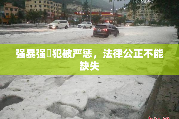 强暴强姦犯被严惩，法律公正不能缺失