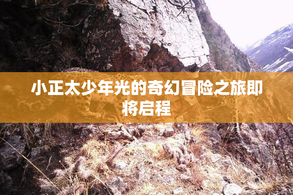小正太少年光的奇幻冒险之旅即将启程