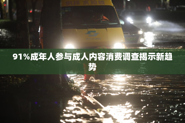 91%成年人参与成人内容消费调查揭示新趋势