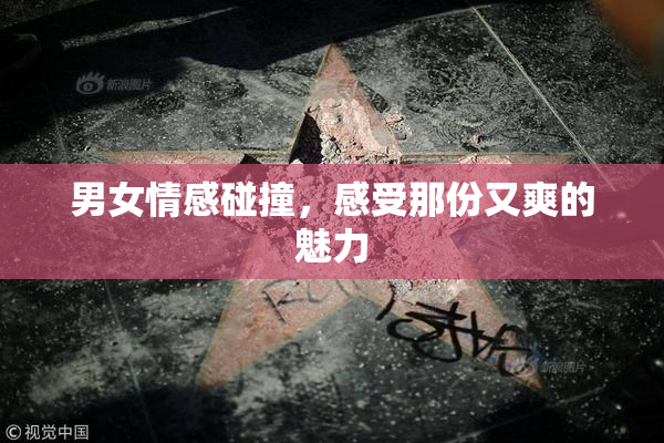 男女情感碰撞，感受那份又爽的魅力