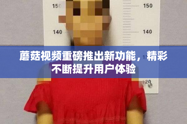 蘑菇视频重磅推出新功能，精彩不断提升用户体验
