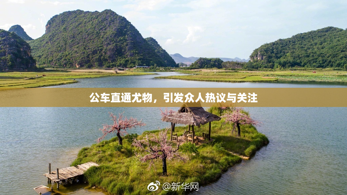 公车直通尤物，引发众人热议与关注