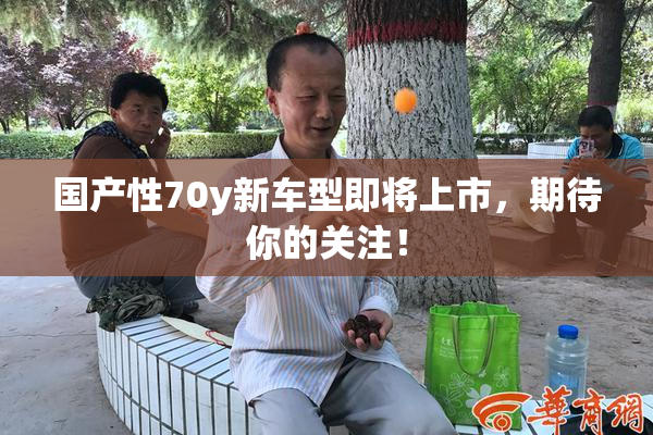 国产性70y新车型即将上市，期待你的关注！