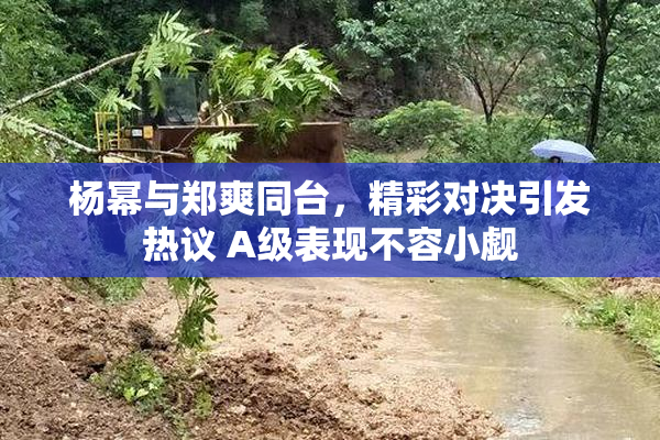 杨幂与郑爽同台，精彩对决引发热议 A级表现不容小觑