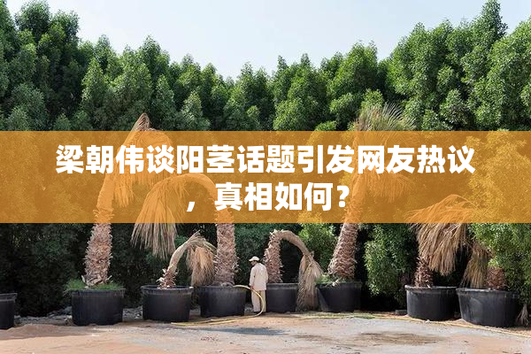 梁朝伟谈阳茎话题引发网友热议，真相如何？