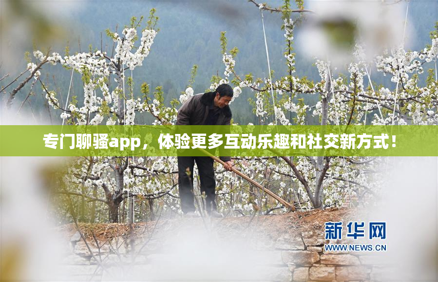 专门聊骚app，体验更多互动乐趣和社交新方式！