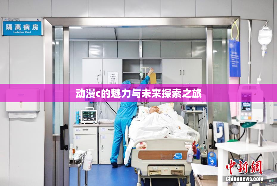 动漫c的魅力与未来探索之旅