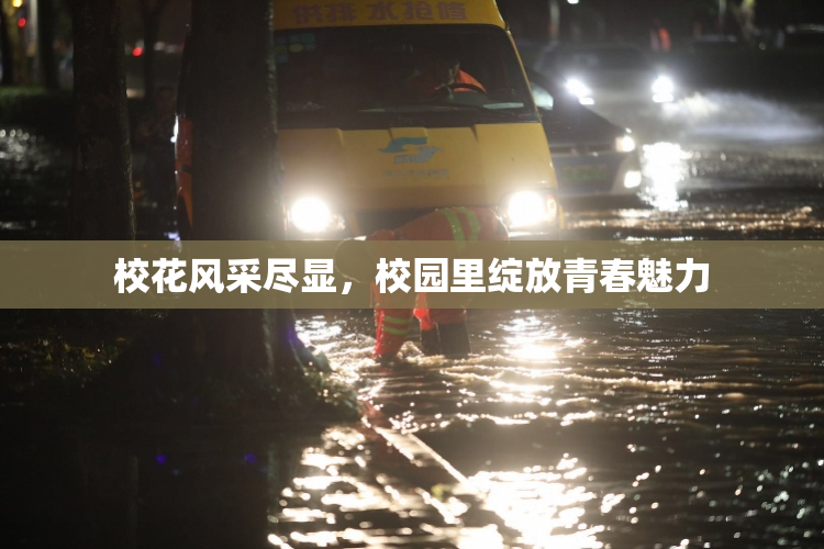 校花风采尽显，校园里绽放青春魅力