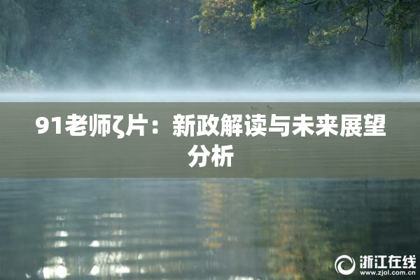 91老师ζ片：新政解读与未来展望分析
