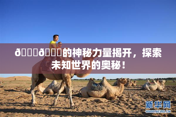 🐔🐔的神秘力量揭开，探索未知世界的奥秘！