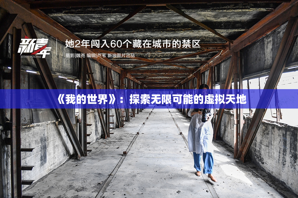 《我的世界》：探索无限可能的虚拟天地
